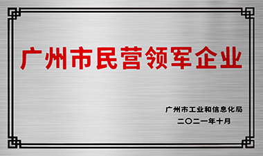 民营领军企业